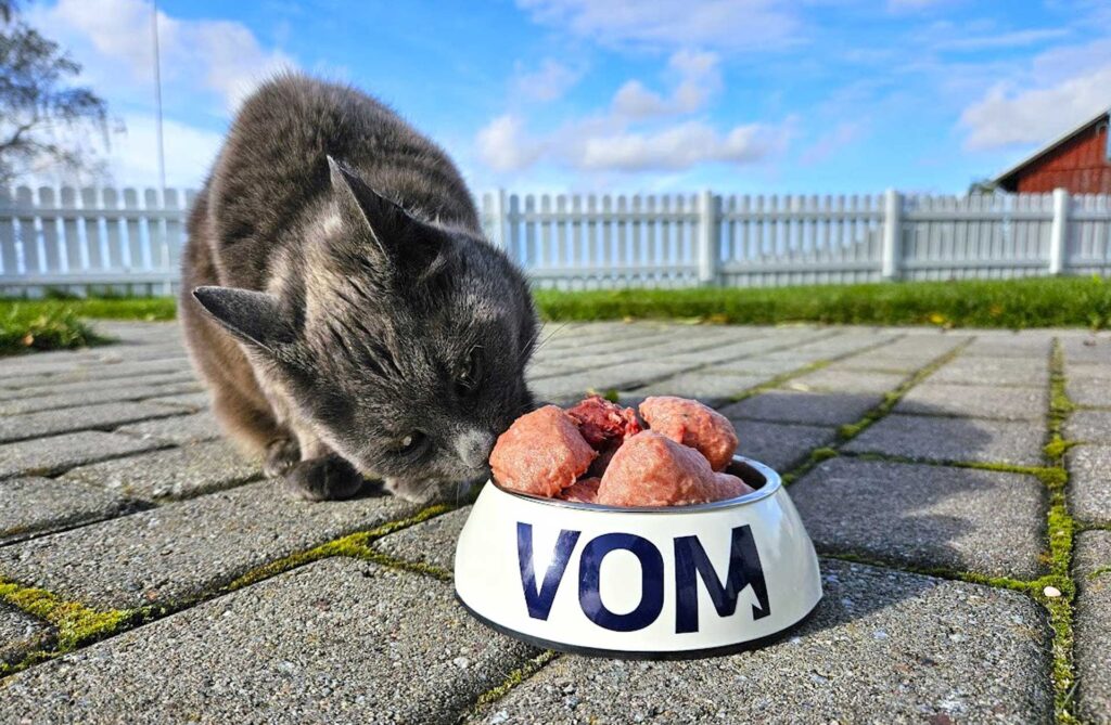 VOM CAT Original 320 gr poki +++ Væntanlegt í lok október 2026 +++ - Mynd 2