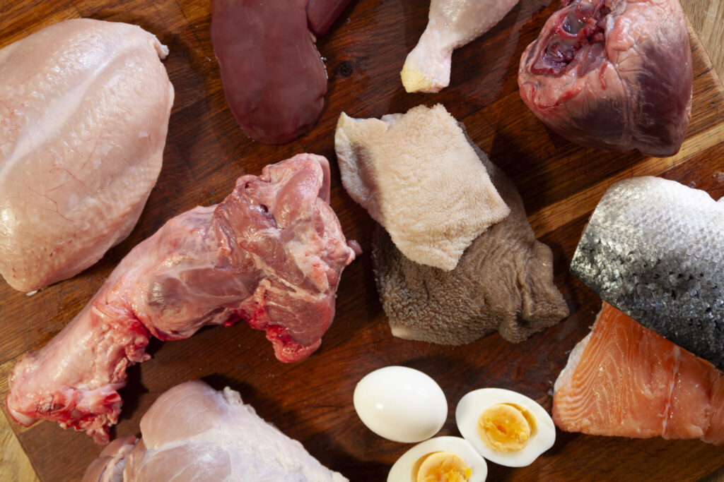 Close-up - Chicken - Salmon - Egg - B - 0092 - 1 - 2048x1365